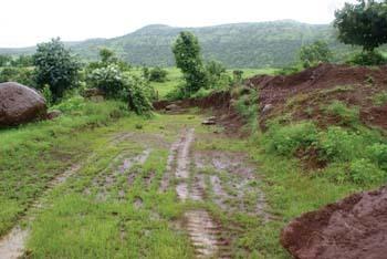Jain Farms Peacock Hills Plots for sale  ,